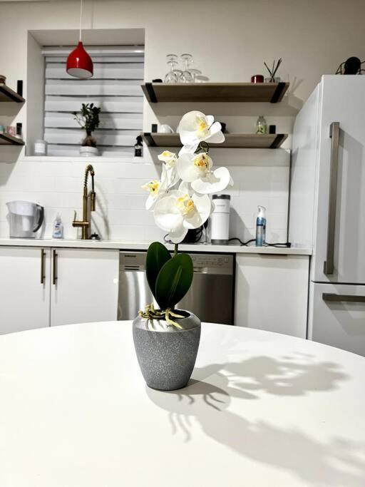 Luxury And Cozy 1 Bed Condo In The Heart Of 普罗维登斯 外观 照片